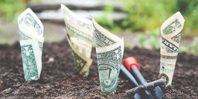 Top 4 Funding Ideas for Museums