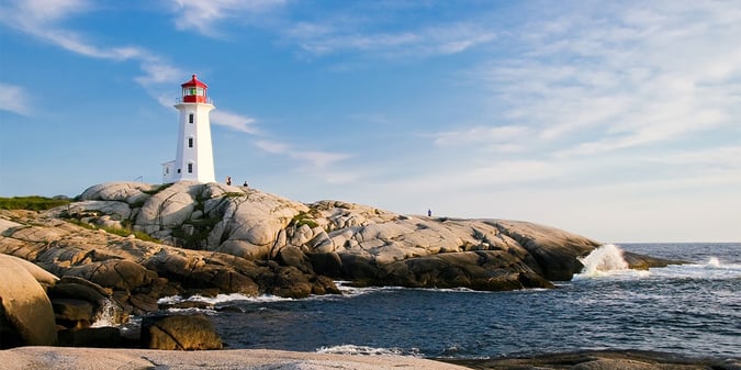 Timeless Collections Management—Argus for Now, Argus for the Future